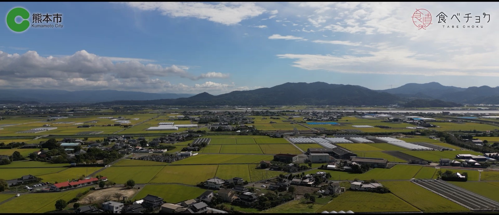 熊本市様×食べチョク様 PR動画のスチール(ドローン空撮)